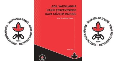Adil Yargılanma Hakkı Çerçevesinde Dava Gözlem Raporu Adil Yargılanma Hakkı Çerçevesinde Dava Gözlem Raporu